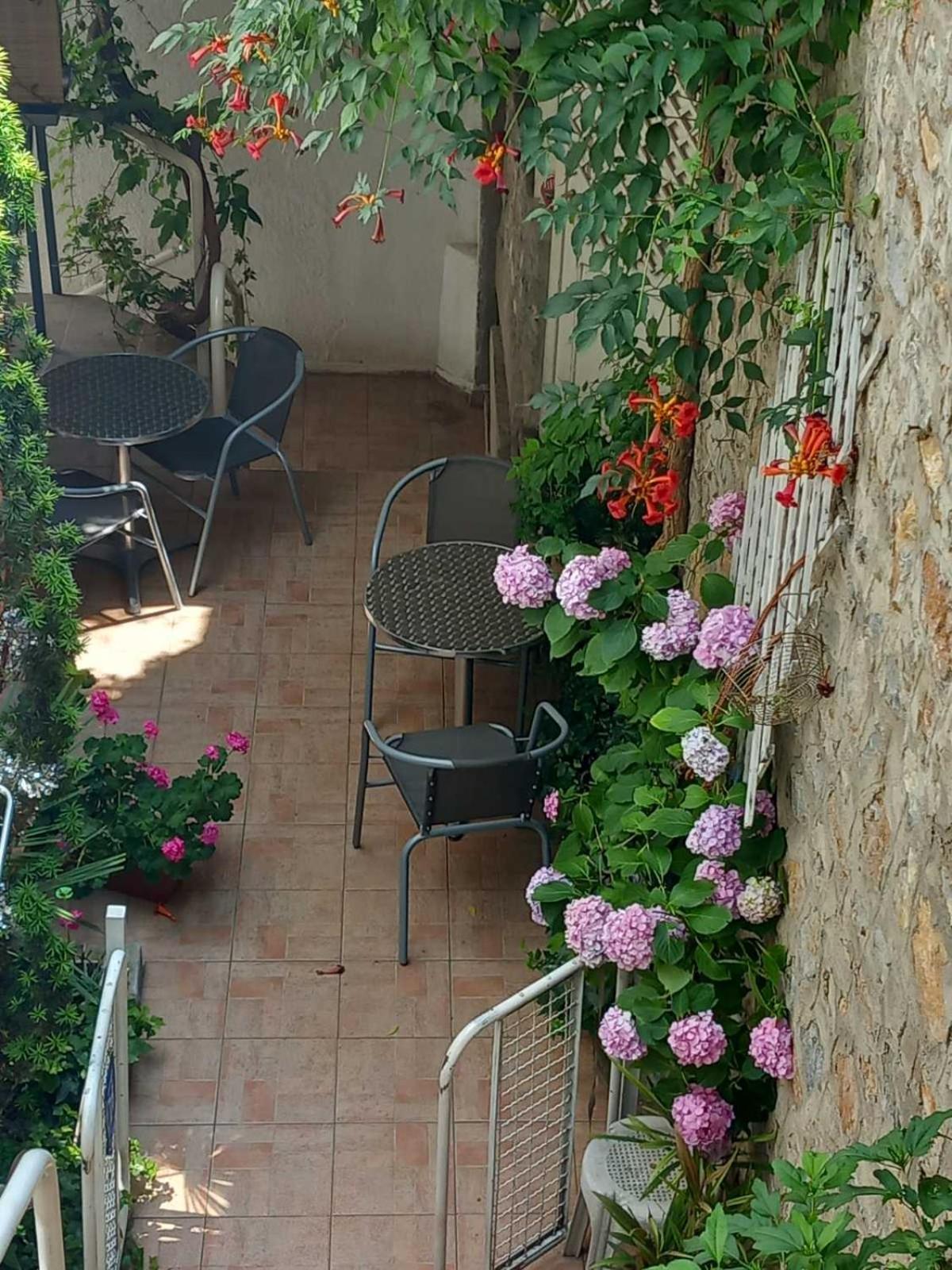 Vila Kosta City Center Port Ohri Dış mekan fotoğraf