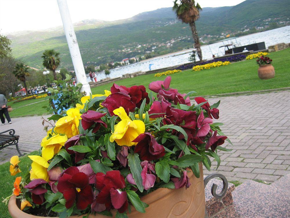 Vila Kosta City Center Port Ohri Dış mekan fotoğraf
